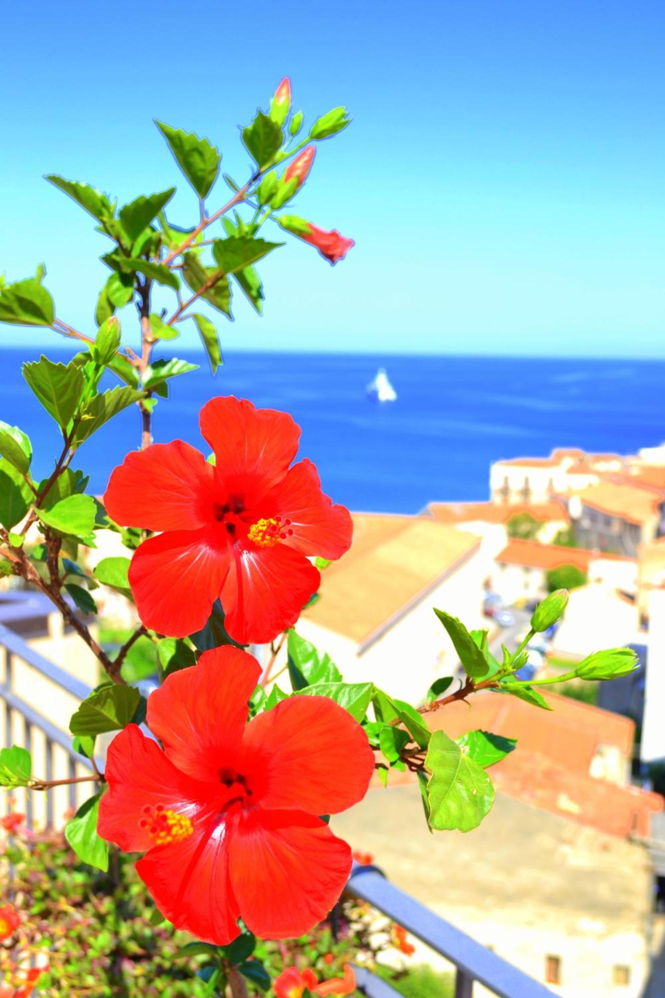 Scirocco Bed & Breakfast Cefalù Exterior foto